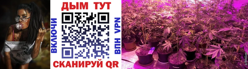 omg tor  Плёс  Шишки марихуана гибрид 